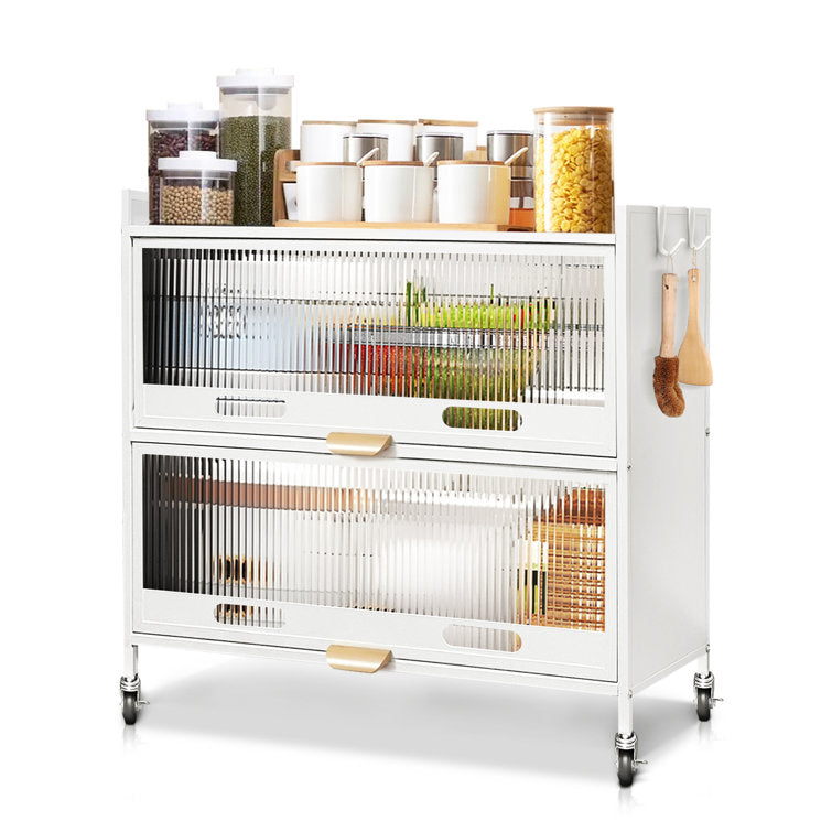 Mega Casa Steel 2-Door Accent Cabinet with Transparent Plastic Doors - White