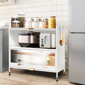 Mega Casa Steel 2-Door Accent Cabinet with Transparent Plastic Doors - White