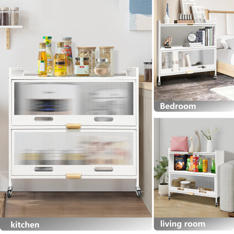 Mega Casa Steel 2-Door Accent Cabinet with Transparent Plastic Doors - White