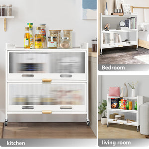 Mega Casa Steel 2-Door Accent Cabinet with Transparent Plastic Doors - White