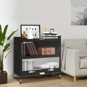 Mega Casa Steel 2-Door Accent Cabinet with Transparent Plastic Doors - Black