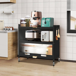 Mega Casa Steel 2-Door Accent Cabinet with Transparent Plastic Doors - Black