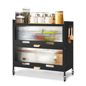 Mega Casa Steel 2-Door Accent Cabinet with Transparent Plastic Doors - Black