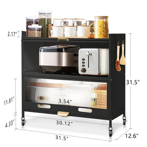 Mega Casa Steel 2-Door Accent Cabinet with Transparent Plastic Doors - Black