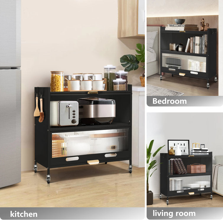 Mega Casa Steel 2-Door Accent Cabinet with Transparent Plastic Doors - Black