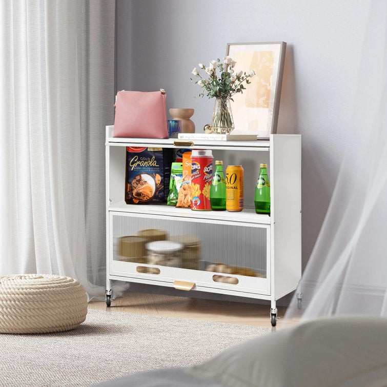 Mega Casa Steel 2-Door Accent Cabinet with Transparent Plastic Doors - White