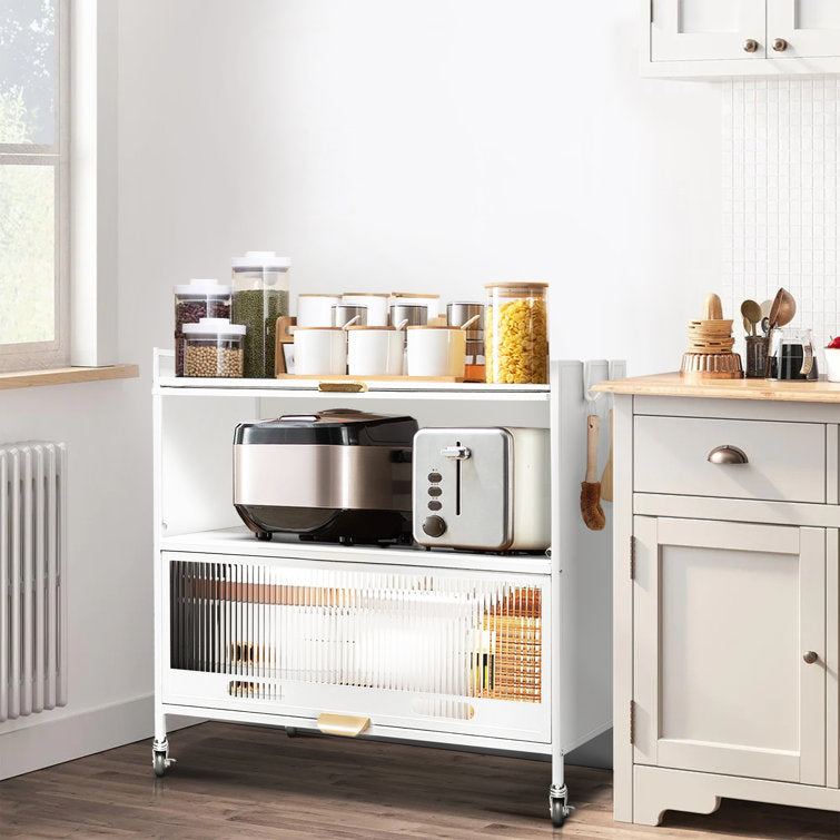 Mega Casa Steel 2-Door Accent Cabinet with Transparent Plastic Doors - White