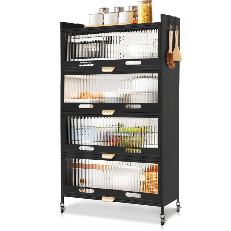 Mega Casa Steel 4-Door Accent Cabinet with Transparent Plastic Doors - Black