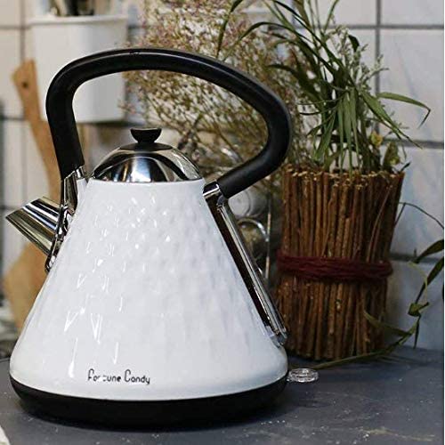 Fortune Candy Electric Kettle, Stainless Steel Electric Tea Kettle, 1500W Fast Boiling and Cordless, BPA-Free,with Auto Shut-Off & Boil-Dry Protection